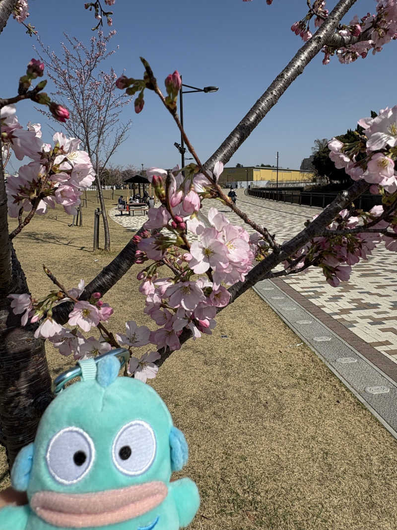 ぽぽみさんの天然温泉 真名井の湯 大井店のサ活写真