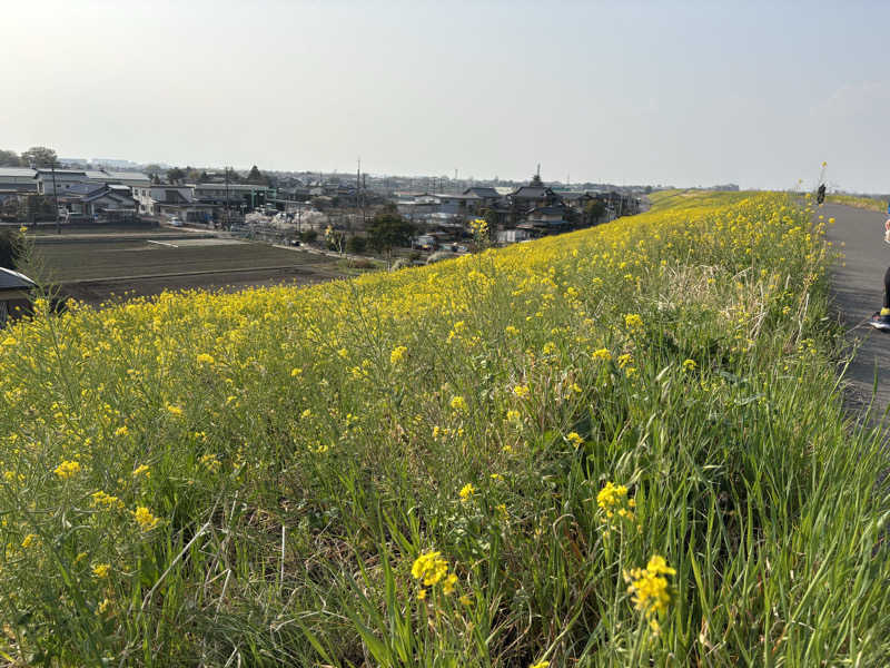 ぽぽみさんの天然温泉 真名井の湯 大井店のサ活写真