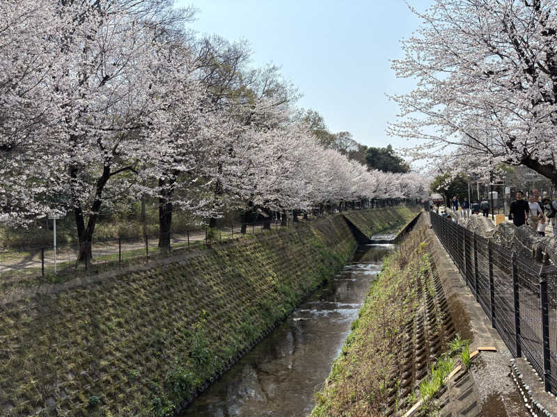 ぽぽみさんの天然温泉 真名井の湯 大井店のサ活写真
