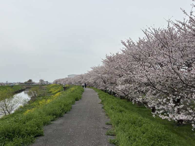 ぽぽみさんの天然温泉 真名井の湯 大井店のサ活写真