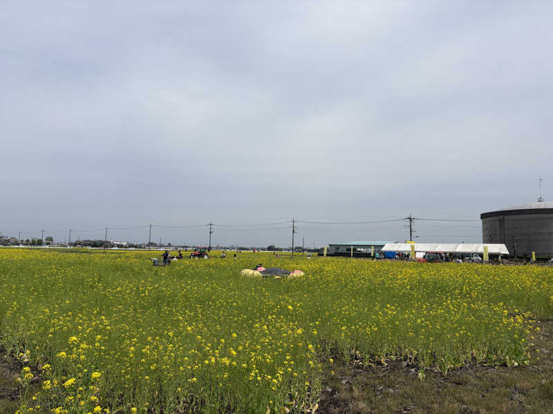 ぽぽみさんの天然温泉 真名井の湯 大井店のサ活写真