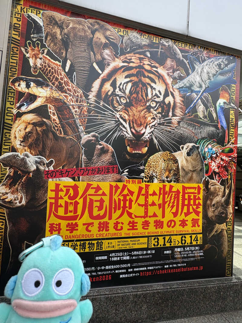 ぽぽみさんの天然温泉 真名井の湯 大井店のサ活写真