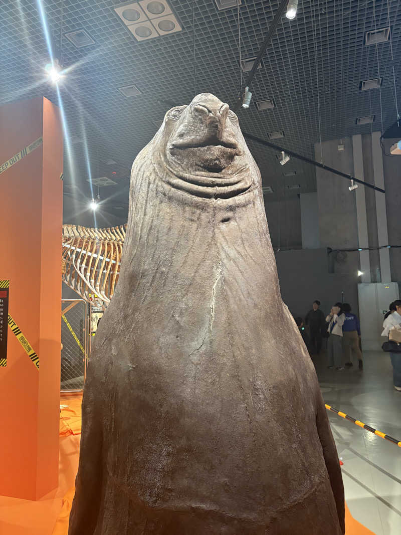 ぽぽみさんの天然温泉 真名井の湯 大井店のサ活写真