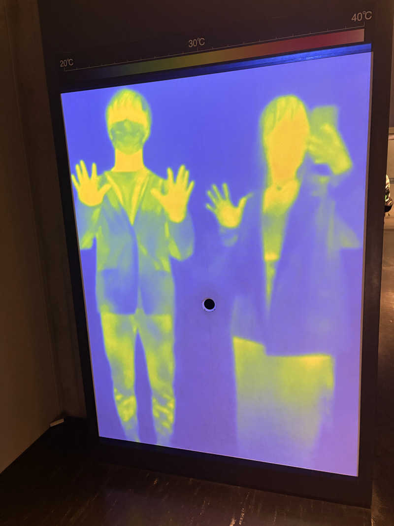 ぽぽみさんの天然温泉 真名井の湯 大井店のサ活写真