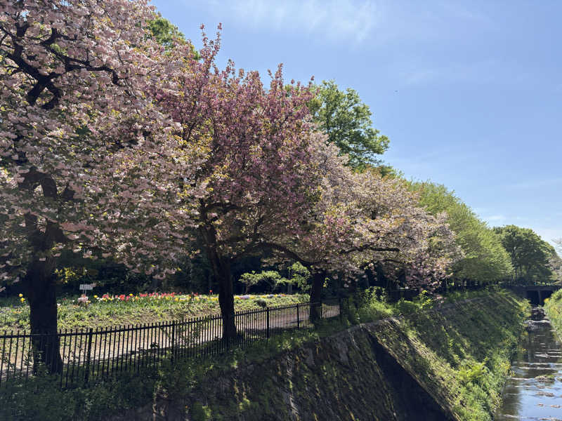 ぽぽみさんの天然温泉 真名井の湯 大井店のサ活写真