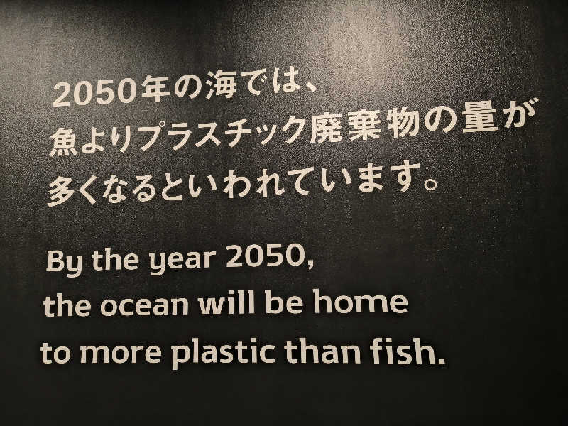 ドケチさんの蓬川温泉 みずきの湯のサ活写真