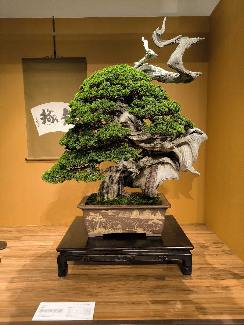 ドケチさんの堺浜楽天温泉祥福のサ活写真