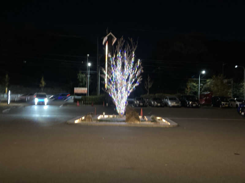 どくたけ  出張サ旅さんの天空SPA HILLS 竜泉寺の湯 名古屋守山本店のサ活写真