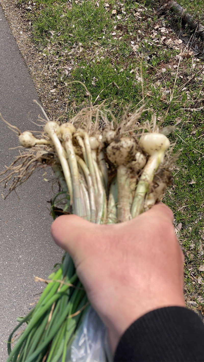 どくたけ  出張サ旅さんの岐阜各務原 恵みの湯のサ活写真