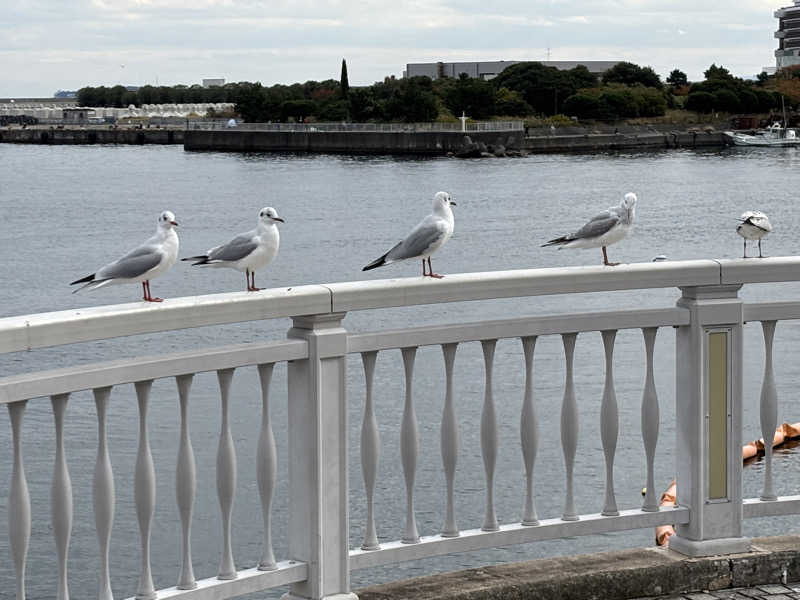 そらまめさんのオーシャンスパ Fuuaのサ活写真