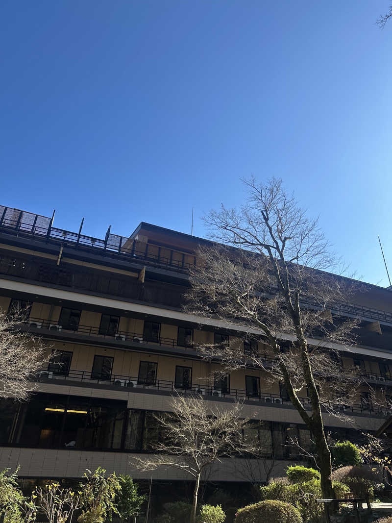 ベジＱさんの箱根湯本温泉 天成園のサ活写真