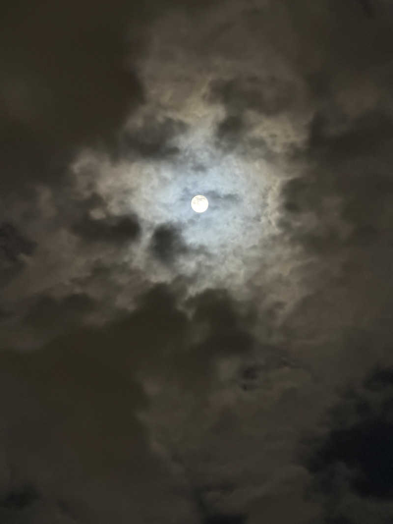 YUMMYさんのビバークランド ロードの湯(薪サウナ)のサ活写真