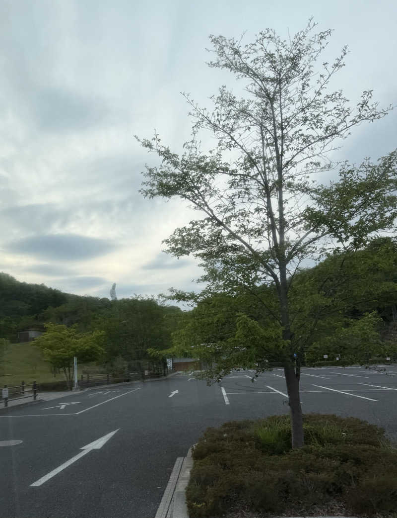 YUMMYさんの観音山サウナ蒸寺のサ活写真