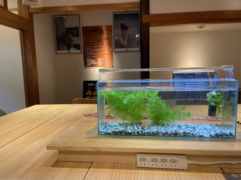 サメザメさんのサウナゆげ蔵のサ活写真