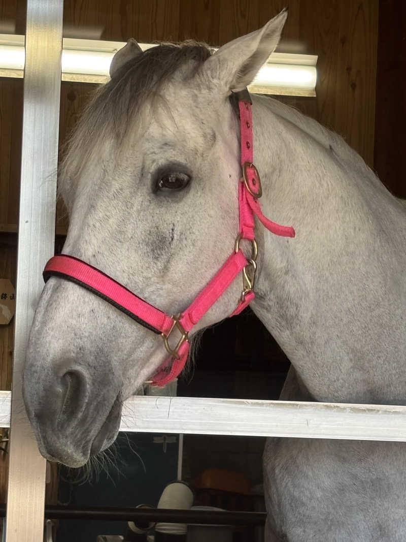 PAOさんの神馬の湯のサ活写真