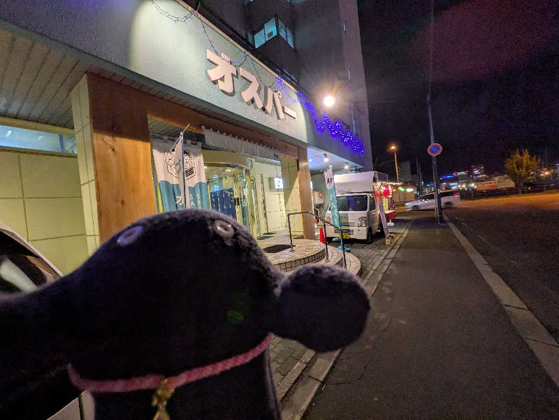 乃亜さんのSPA&SAUNA オスパーのサ活写真