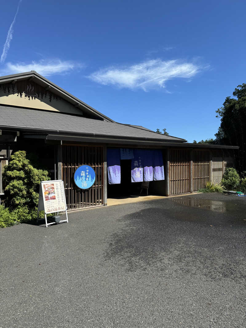 deeeetさんの小谷流温泉 森の湯のサ活写真