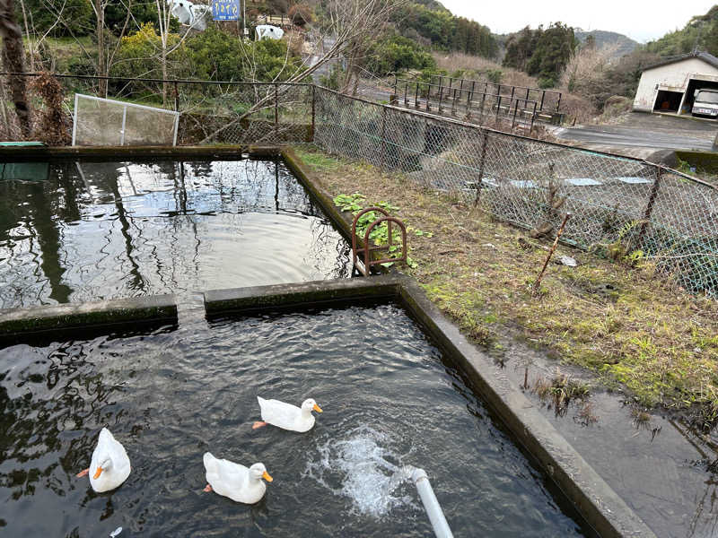 湯さんのアウトドアサウナ「在りのまま」のサ活写真