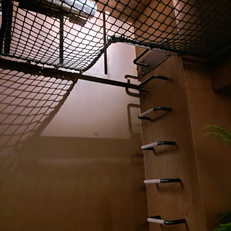 ひよっこサウナー🐤さんのSAUNA 霧宙のサ活写真