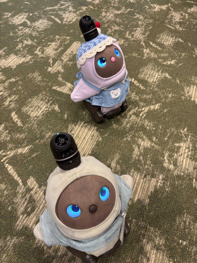 🐲蒸しS🐲さんのSPA&ごはん ゆるうむ yuluumuのサ活写真