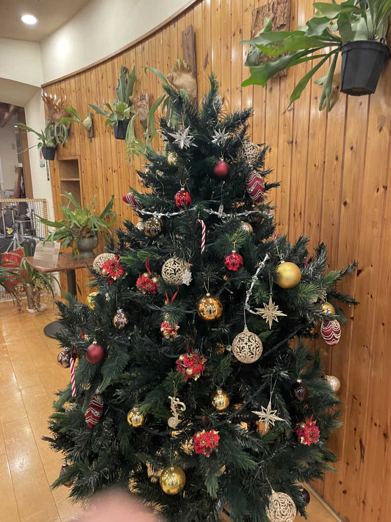 でーやんさんのニュージャパン 梅田店(カプセルイン大阪)のサ活写真