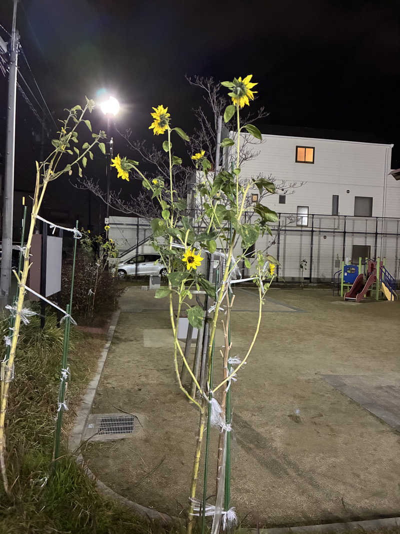 恋 し く てさんの広路湯(ひろじゆ)のサ活写真