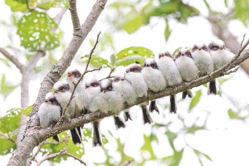 ジャガ男さんの湯乃泉 草加健康センターのサ活写真
