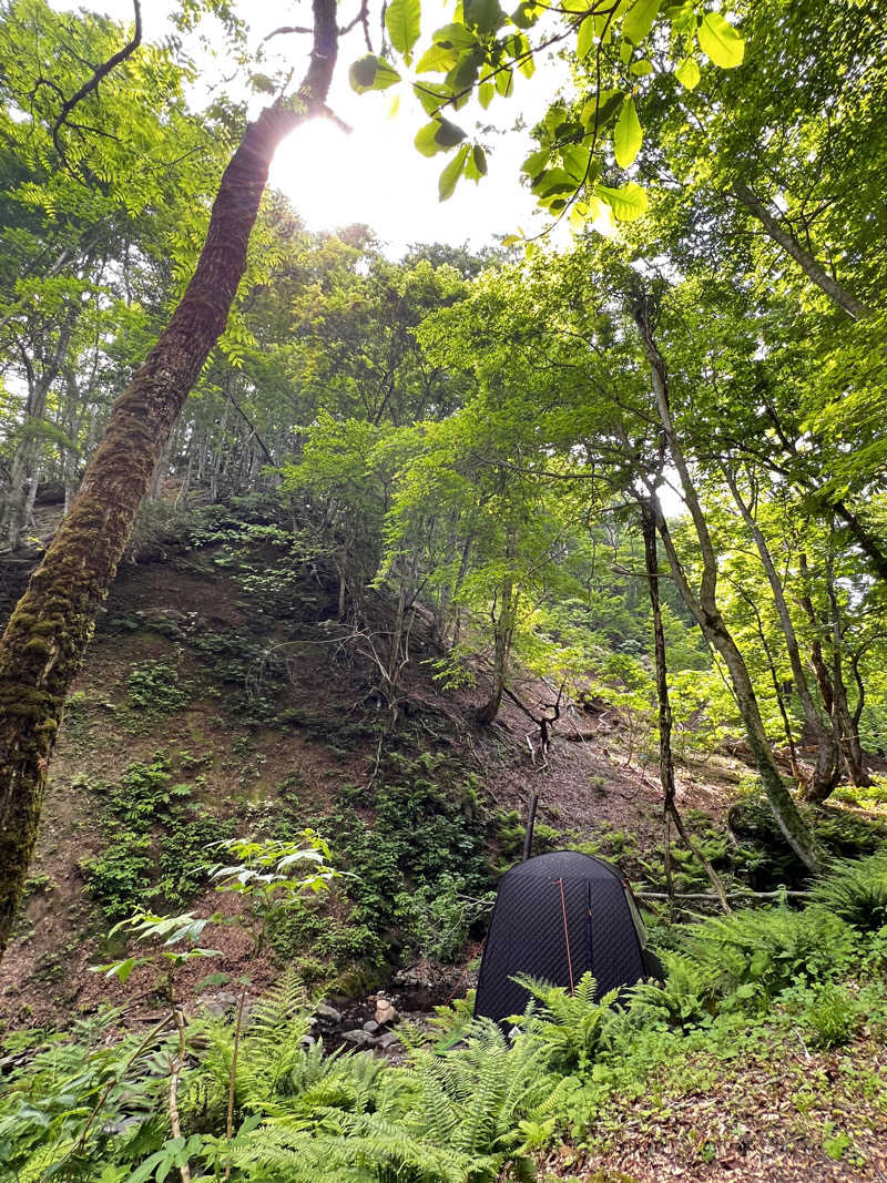 矢本傘六さんの八東ふる里の森のサ活写真