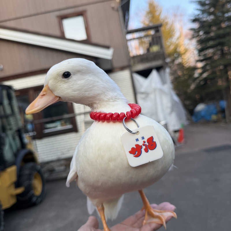 サウナー20251118さんの月見湯のサ活写真