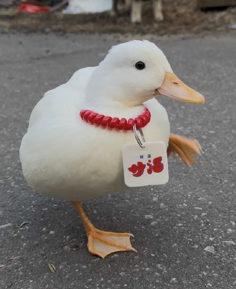サウナー20251118さんの月見湯のサ活写真