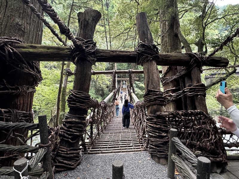 くまさんの新祖谷温泉 ホテルかずら橋のサ活写真