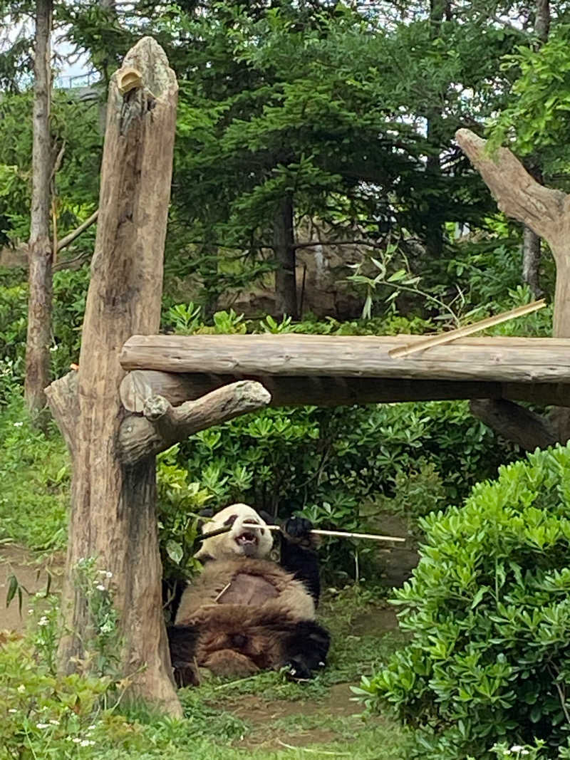 Bob0806さんのサウナ&カプセルホテル 北欧のサ活写真