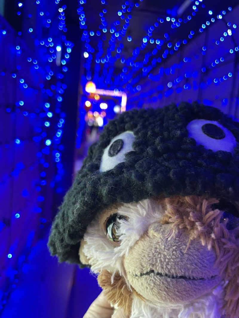 Jimny_gizmoさんの温泉バルコニー キング&クイーンのサ活写真