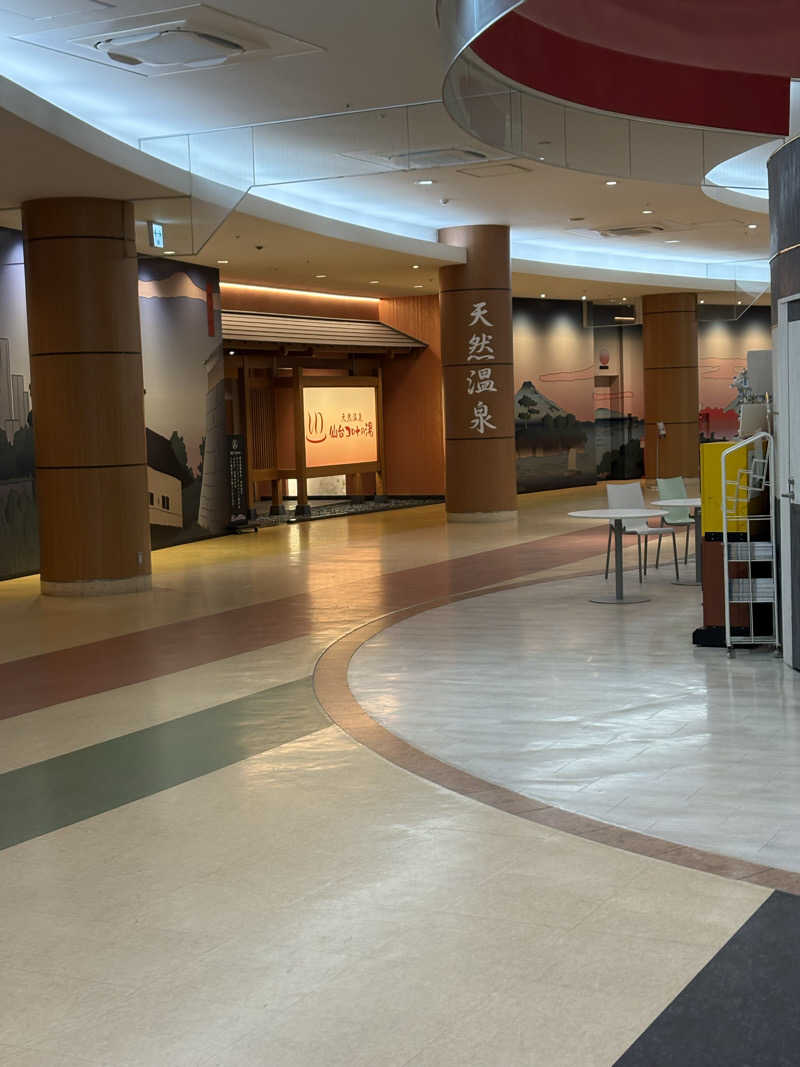 Stereomanさんの天然温泉 仙台コロナの湯のサ活写真