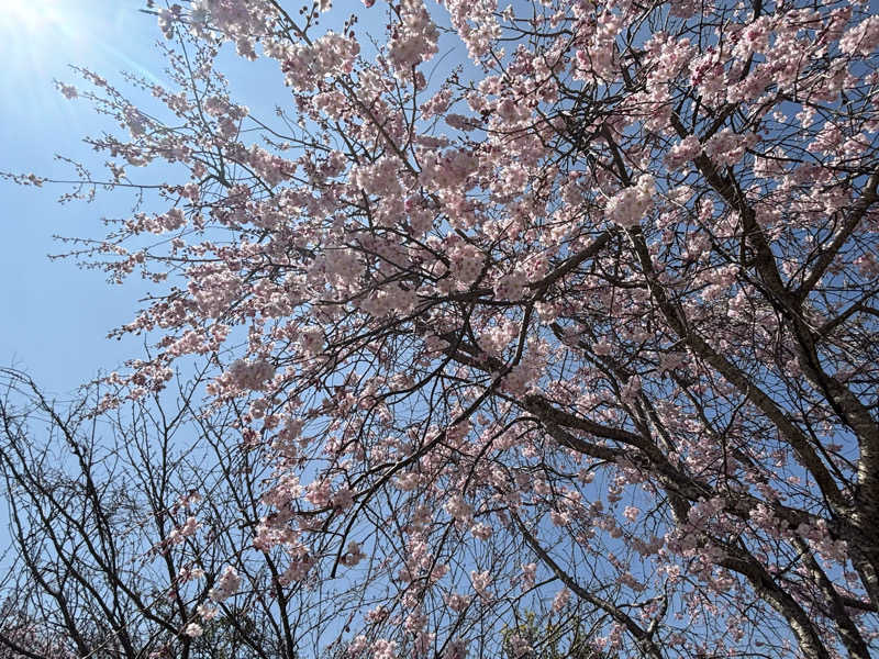 モサエビヒロコさんの三田天然温泉 寿ノ湯のサ活写真