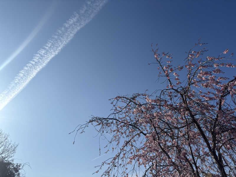 モサエビヒロコさんの三田天然温泉 寿ノ湯のサ活写真