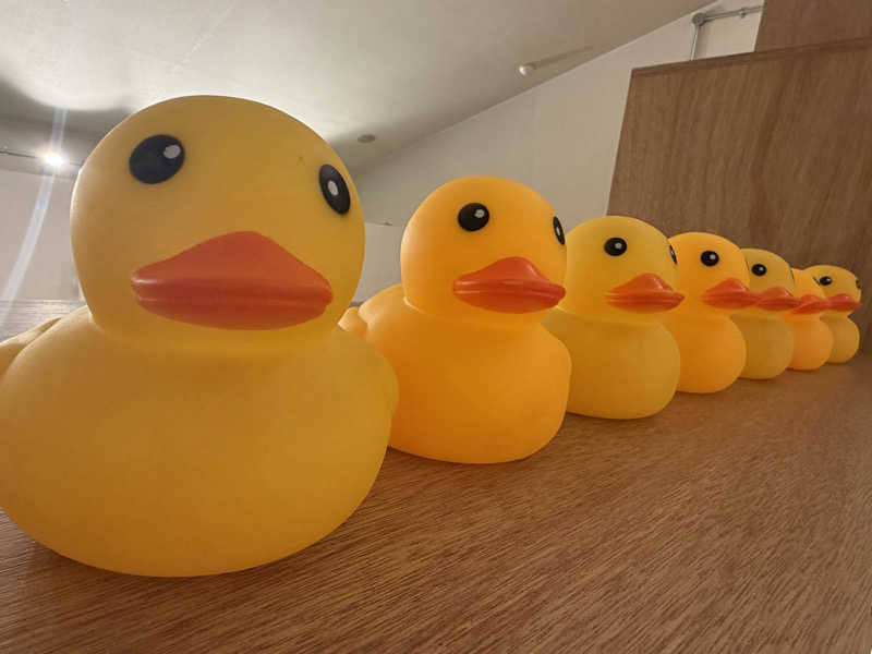 くまくまさんのやまの湯のサ活写真