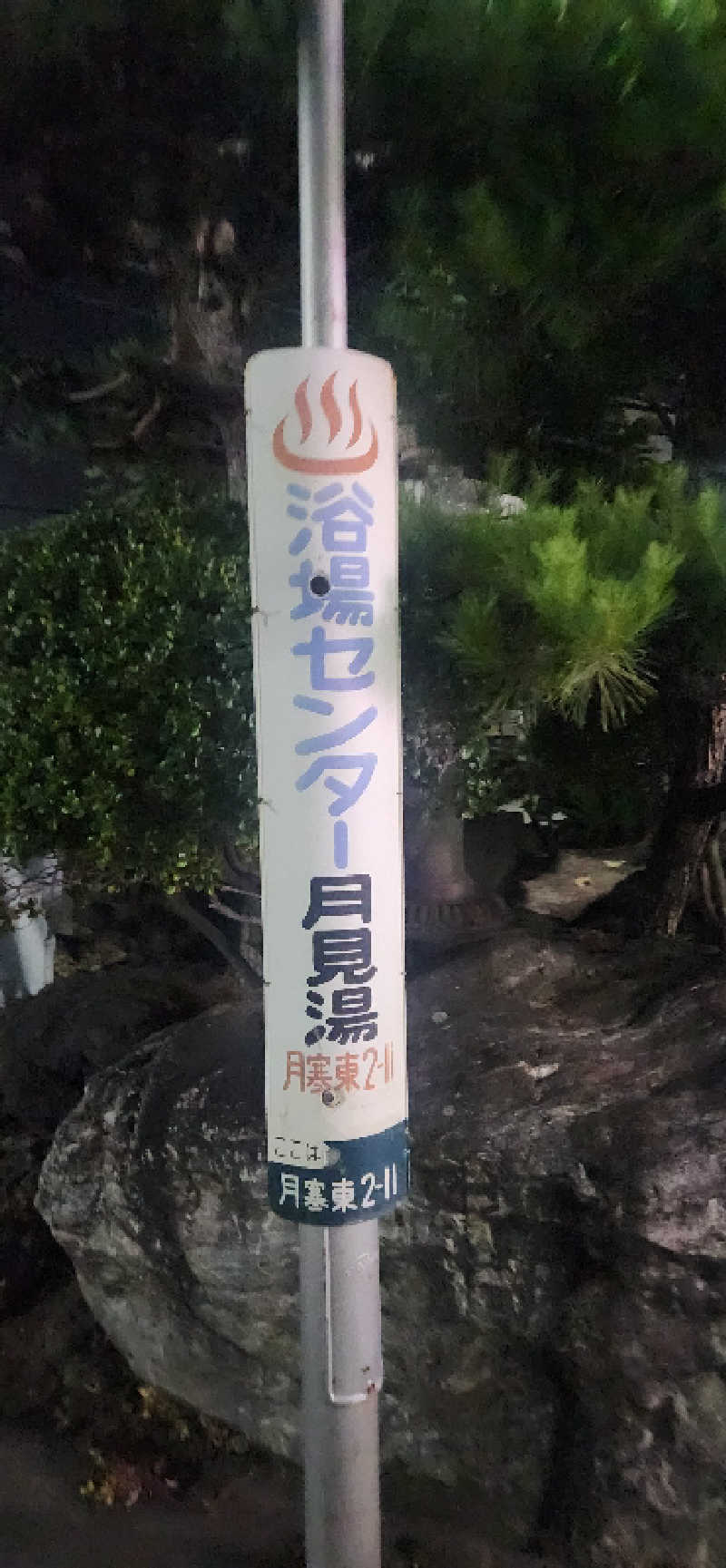 まえのめりさんの月見湯のサ活写真