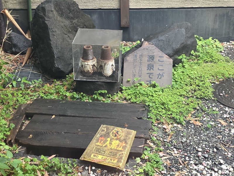 🄷🄰🅈🄰🅃🄴さんの深大寺天然温泉 湯守の里のサ活写真