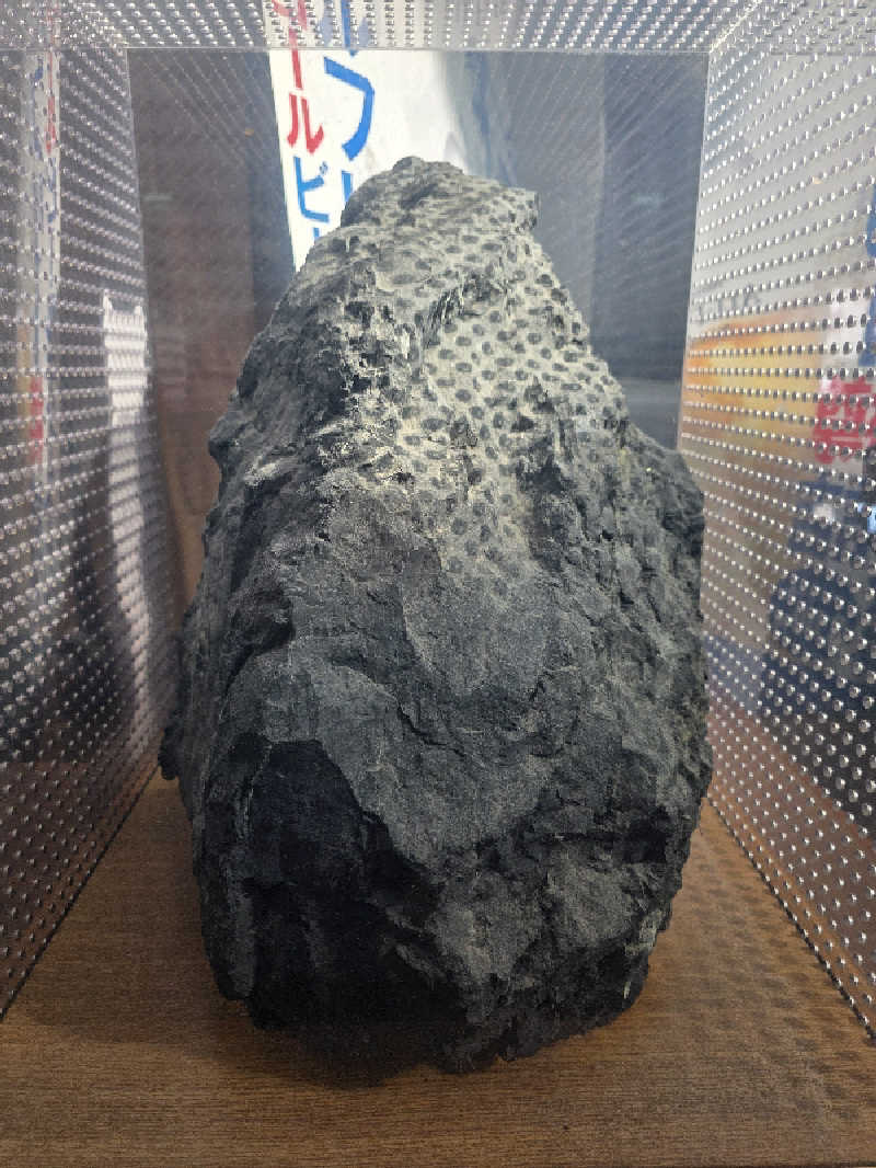 Hayateさんの北のたまゆら 桑園のサ活写真