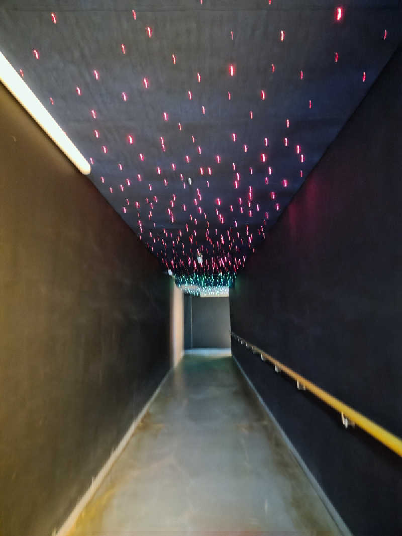 Hayateさんの東京湯楽城のサ活写真