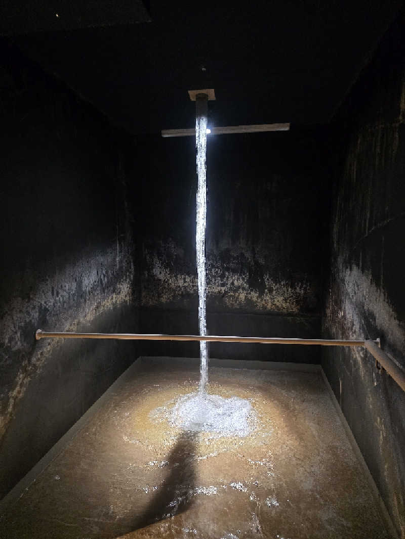 Hayateさんの東京湯楽城のサ活写真