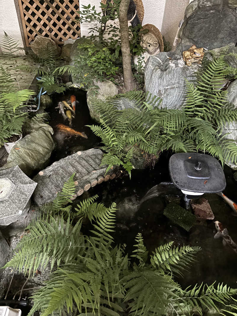 サウにゃさんの新小春温泉のサ活写真