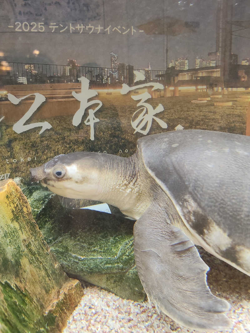 かずぱんださんの松本湯のサ活写真