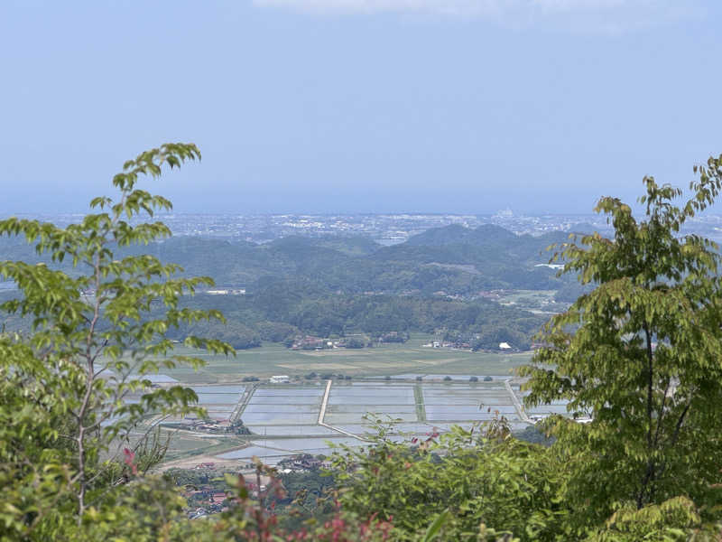 ばぼんさんの夢ランドしらさぎのサ活写真