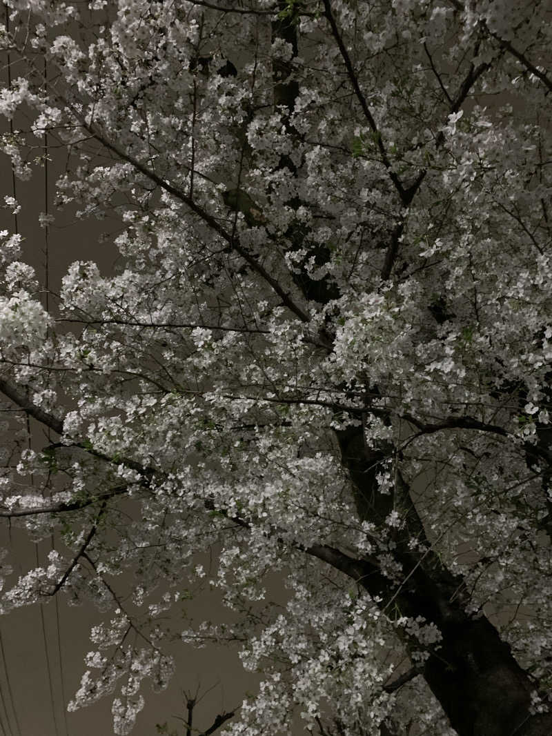 髭帽子さんのサウナセンター鶯谷本店のサ活写真