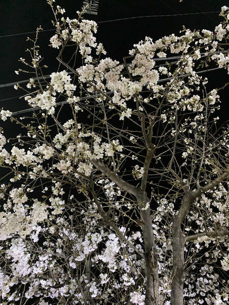 髭帽子さんのHOTTERS24高円寺店のサ活写真