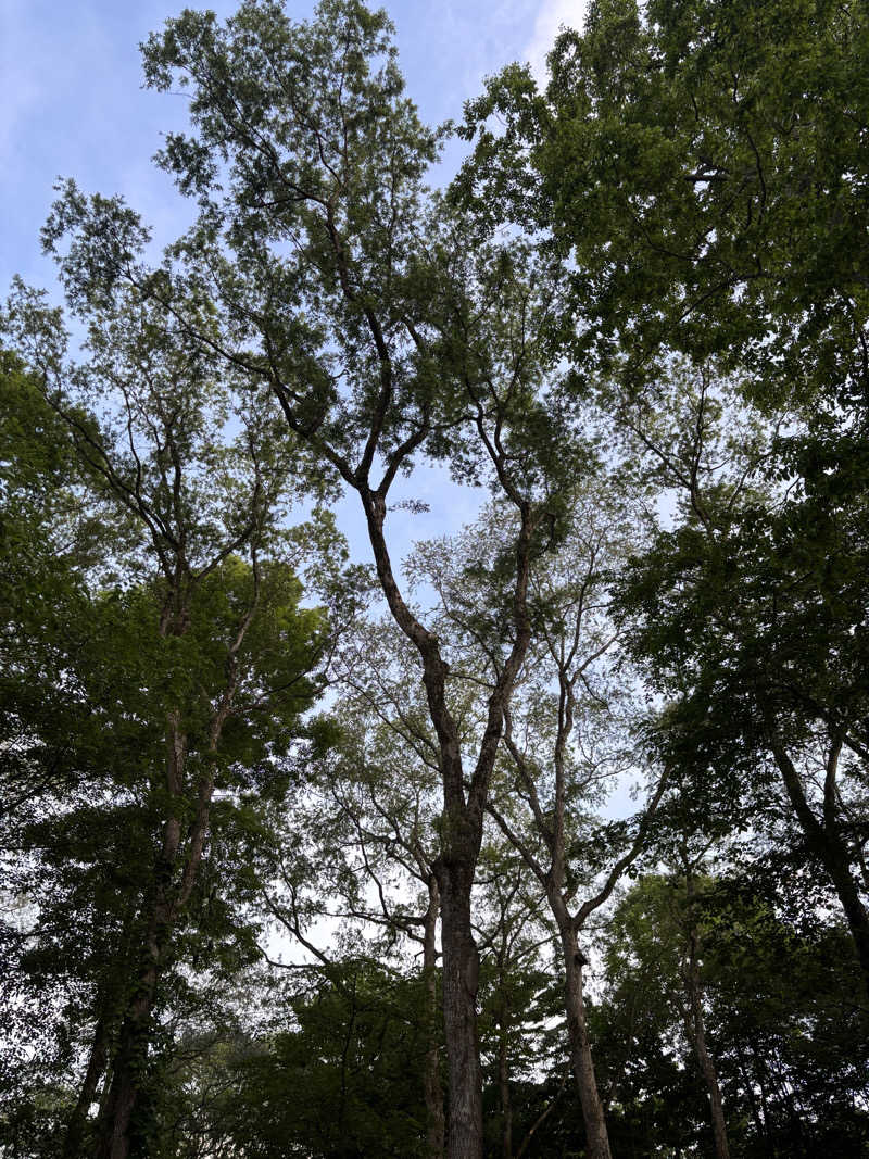 サウナruu-20241006さんのThe Saunaのサ活写真