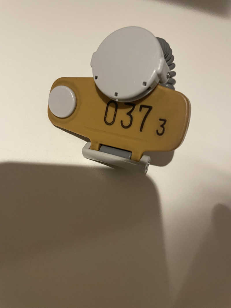 ひろりんさんのOYUGIWA浜松市野のサ活写真