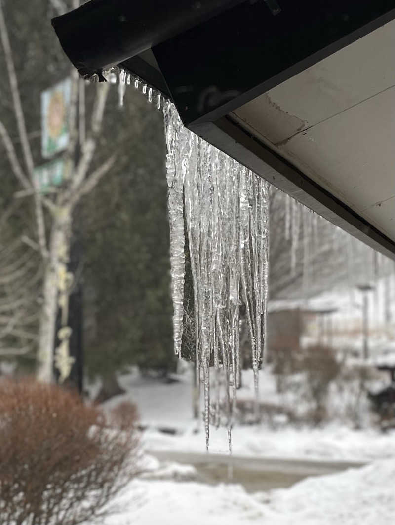 ひろりんさんの信州平谷温泉 ひまわりの湯のサ活写真